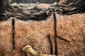 Scientific Illustration of Burrowing Bees Nesting Inside of Fossils