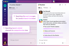 Slackbot, Salesforce