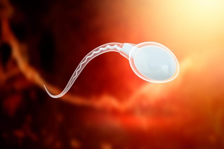 Sperm Cell Science Illustration