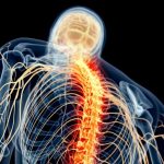 Spinal Cord Nerve Pain Illustration