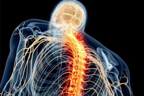 Spinal Cord Nerve Pain Illustration