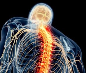 Spinal Cord Nerve Pain Illustration