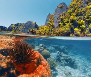 Sunlight Illuminates Shallow Coral Reef Tropical Island