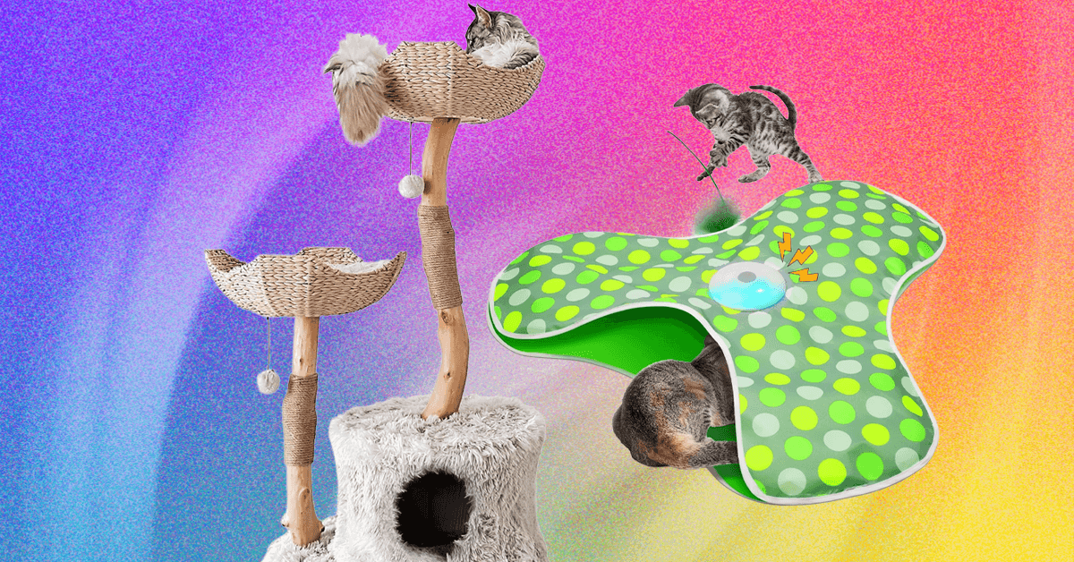 The Best Cat Toys for Your Furry Friend (2026)