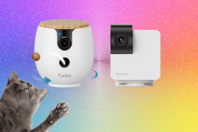10 Best Pet Cameras (2026), Tested With Our Pets