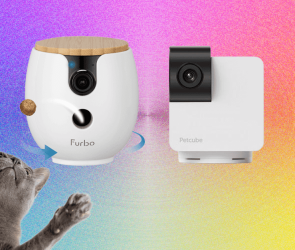 10 Best Pet Cameras (2026), Tested With Our Pets