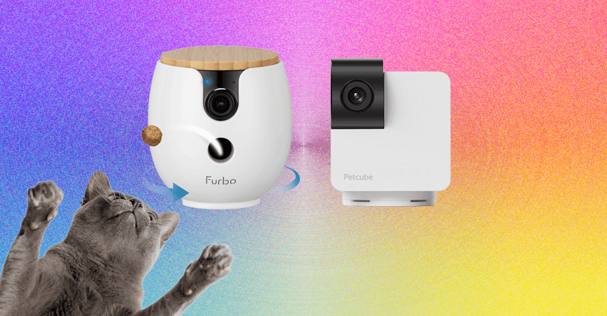 10 Best Pet Cameras (2026), Tested With Our Pets