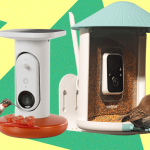 Best Bird Feeders With Cameras, Tested and Reviewed (2026)缩略图 Best Bird Feeders With Cameras, Tested and Reviewed (2026)