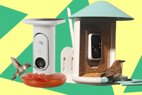 Best Bird Feeders With Cameras, Tested and Reviewed (2026)