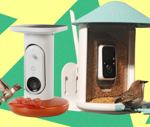 Best Bird Feeders With Cameras, Tested and Reviewed (2026)