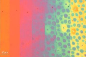 Time Lapse of the Evolution of Color Patterns in a Soft Photonic Skin Sample