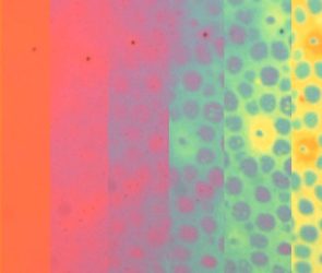 Time Lapse of the Evolution of Color Patterns in a Soft Photonic Skin Sample