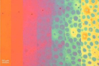 Time Lapse of the Evolution of Color Patterns in a Soft Photonic Skin Sample