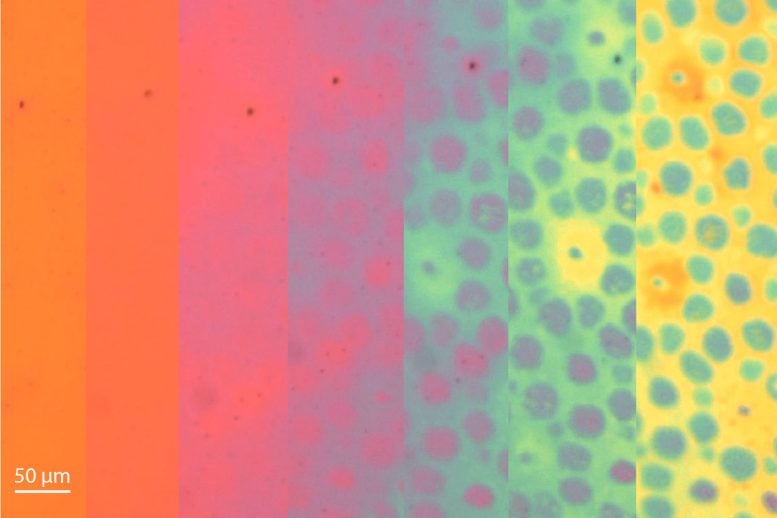 Time Lapse of the Evolution of Color Patterns in a Soft Photonic Skin Sample