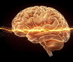 Translucent Glowing Orange Human Brain Waves Signals