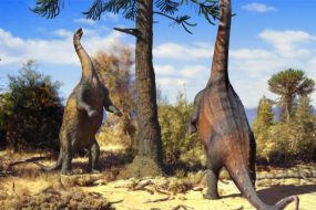 Two Neuquensaurus Stand on Their Hind Legs