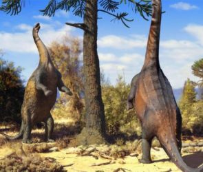 Two Neuquensaurus Stand on Their Hind Legs