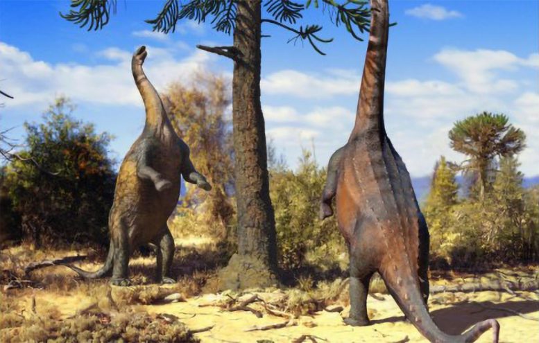 Two Neuquensaurus Stand on Their Hind Legs