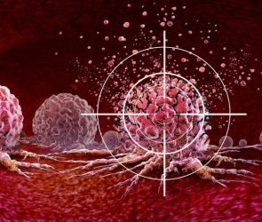 Ultrasound Cancer Treatment Target