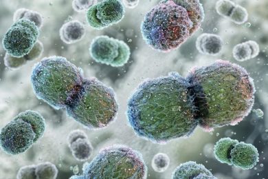 Vancomycin Resistant Enterococcus (VRE) Bacteria