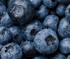 Wet Blueberries Close