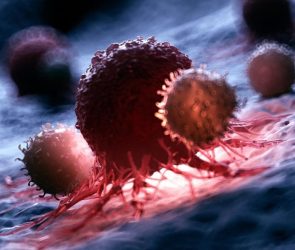 White Blood Cells Attacking Cancer Cell Close