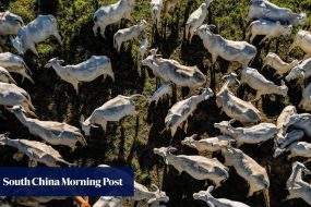 Brazil-China trade hits record US$171 billion in 2025 as US tariffs prompt export pivot