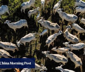 Brazil-China trade hits record US$171 billion in 2025 as US tariffs prompt export pivot