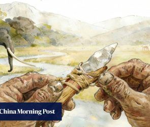 Composite tool find puts China at centre of tech revolution up to 160,000 years ago: paper
