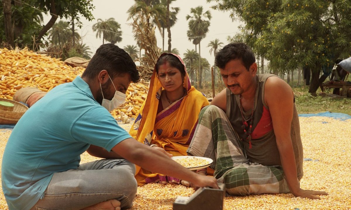 Arya.ag grain collection and storage