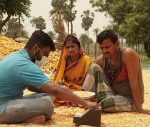 Arya.ag grain collection and storage