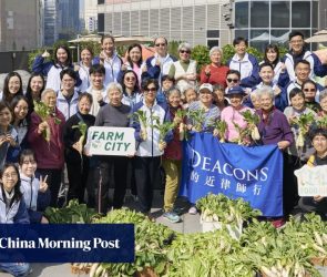 Operation Santa Claus: law firm volunteers dig deep with Hong Kong elderly