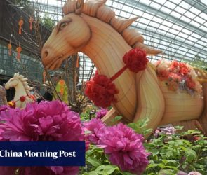 Businesses in Malaysia’s Johor prepare for Singaporeans’ Lunar New Year shopping spree