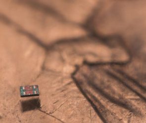 This Autonomous Aquatic Robot Is Smaller Than a Grain of Salt