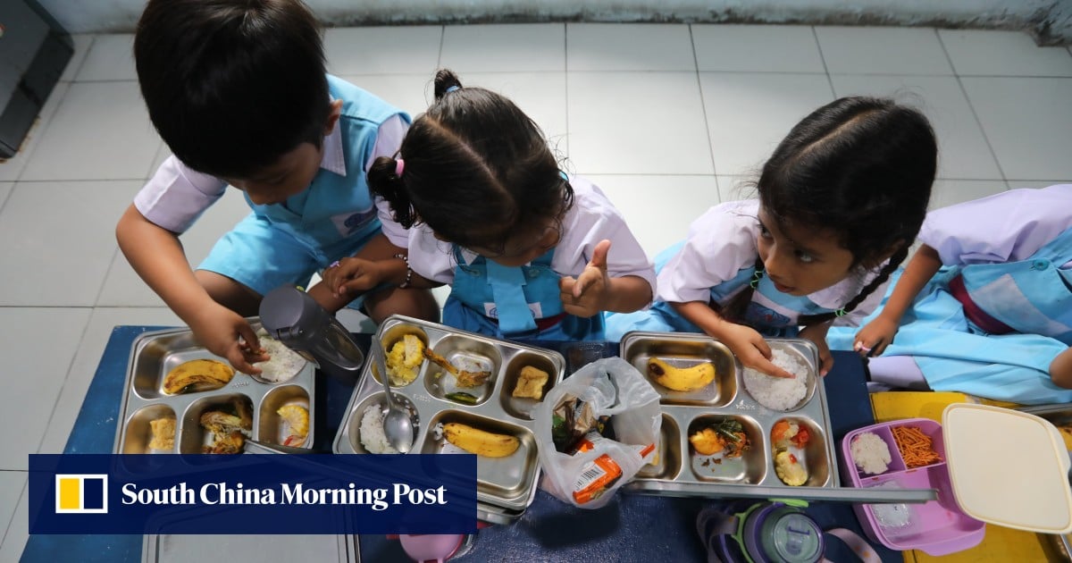Indonesia hails ‘99.9% successful’ free meals scheme amid food safety, oversight concerns