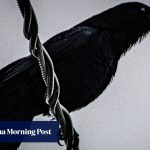 How Japan’s capital put a lid on crow chaos with a ‘simple’ fix