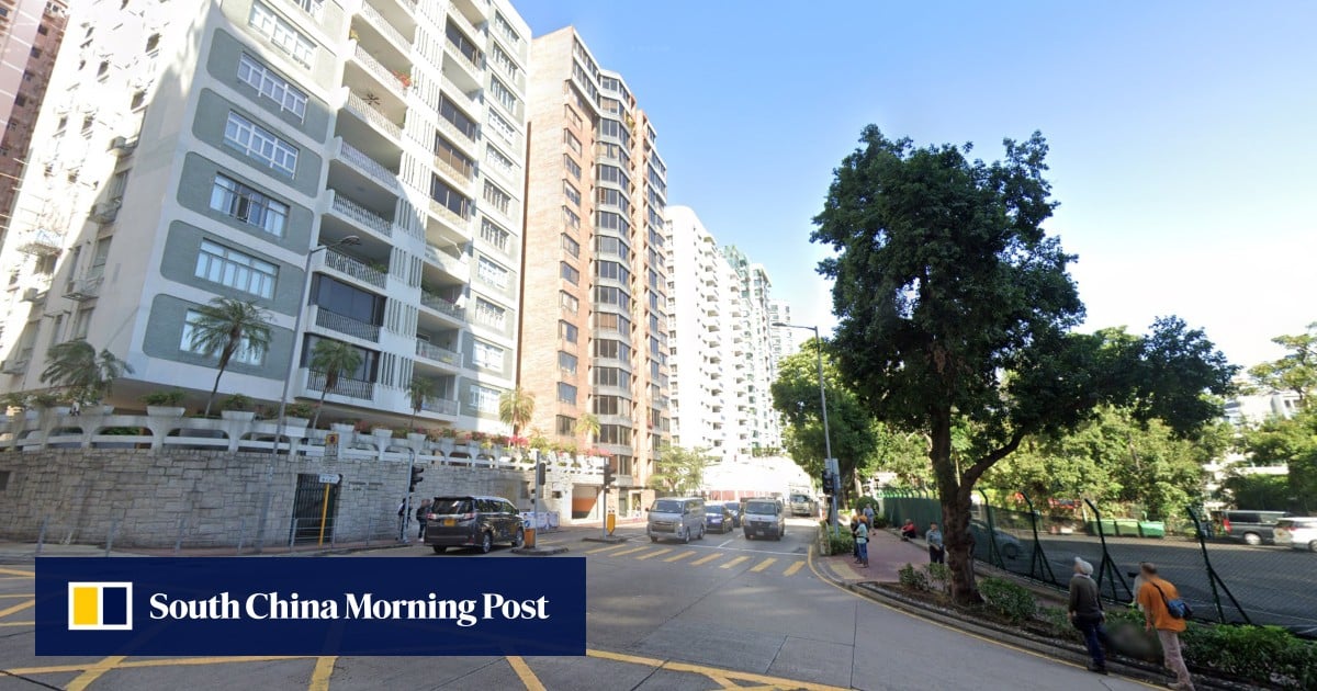 Hong Kong driver avoids injury after drone crashes onto Tesla roof