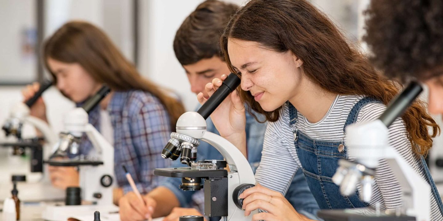 A Path Into the Bioeconomy