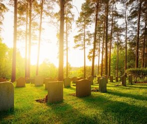 Cremation or casket? Here's the most eco-friendly burial option.