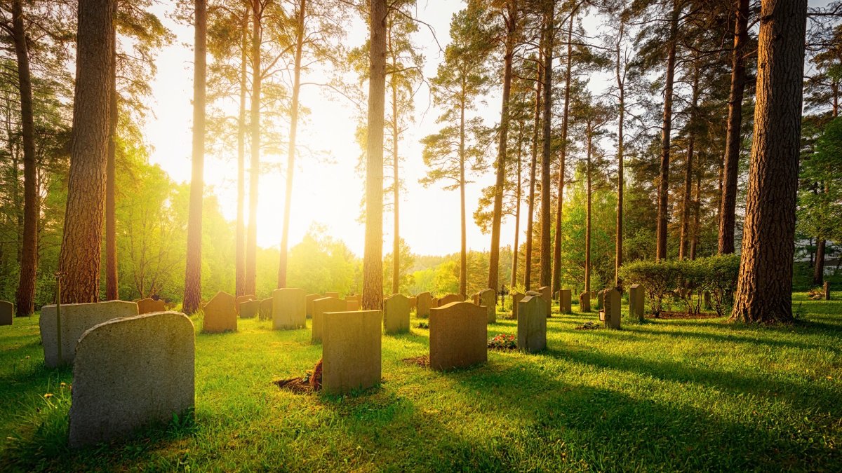 Cremation or casket? Here's the most eco-friendly burial option.
