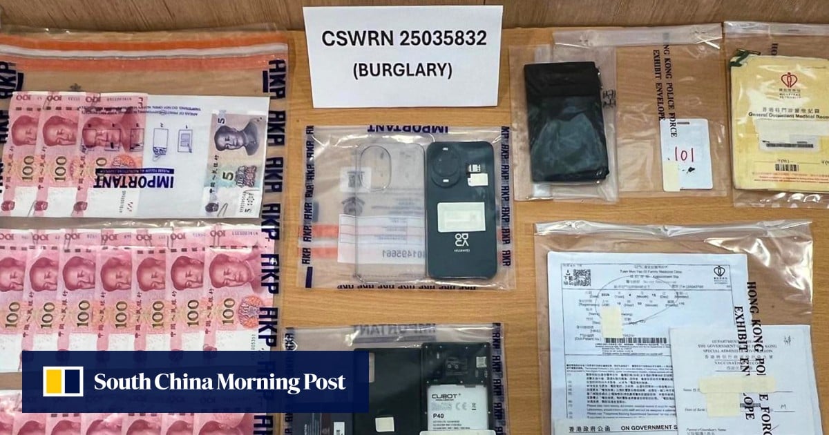 Hongkonger who allegedly posed as officer held over burglaries aimed at elderly