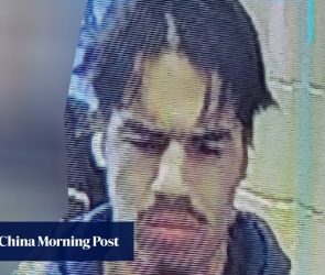 US teen inspired by Isis pleads guilty to attempted murder of police officer