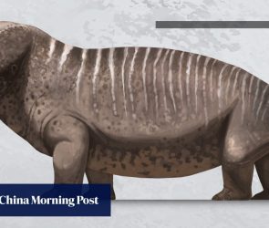 China fossil unveils cross-equator migration corridor in supercontinent Pangaea