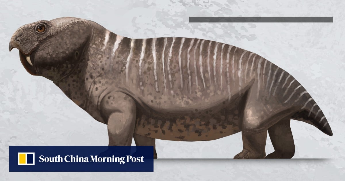 China fossil unveils cross-equator migration corridor in supercontinent Pangaea