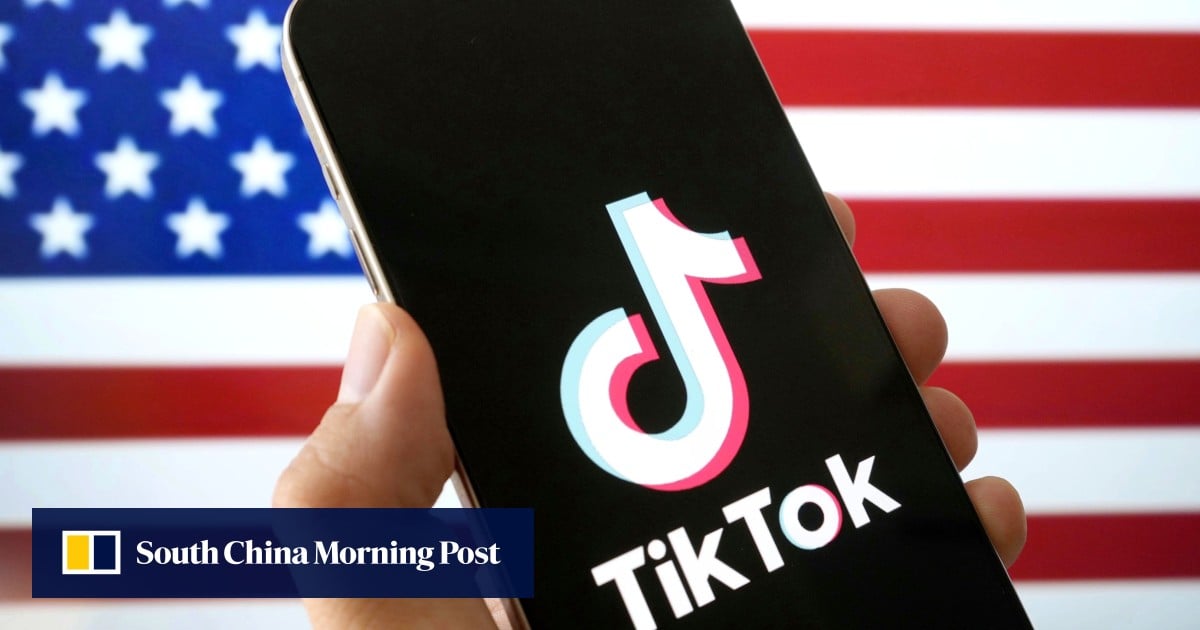 Who are the owners of the new TikTok US entity?