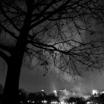 First Insight brings conversational AI in retail