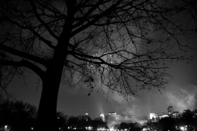 First Insight brings conversational AI in retail