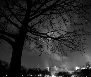 First Insight brings conversational AI in retail