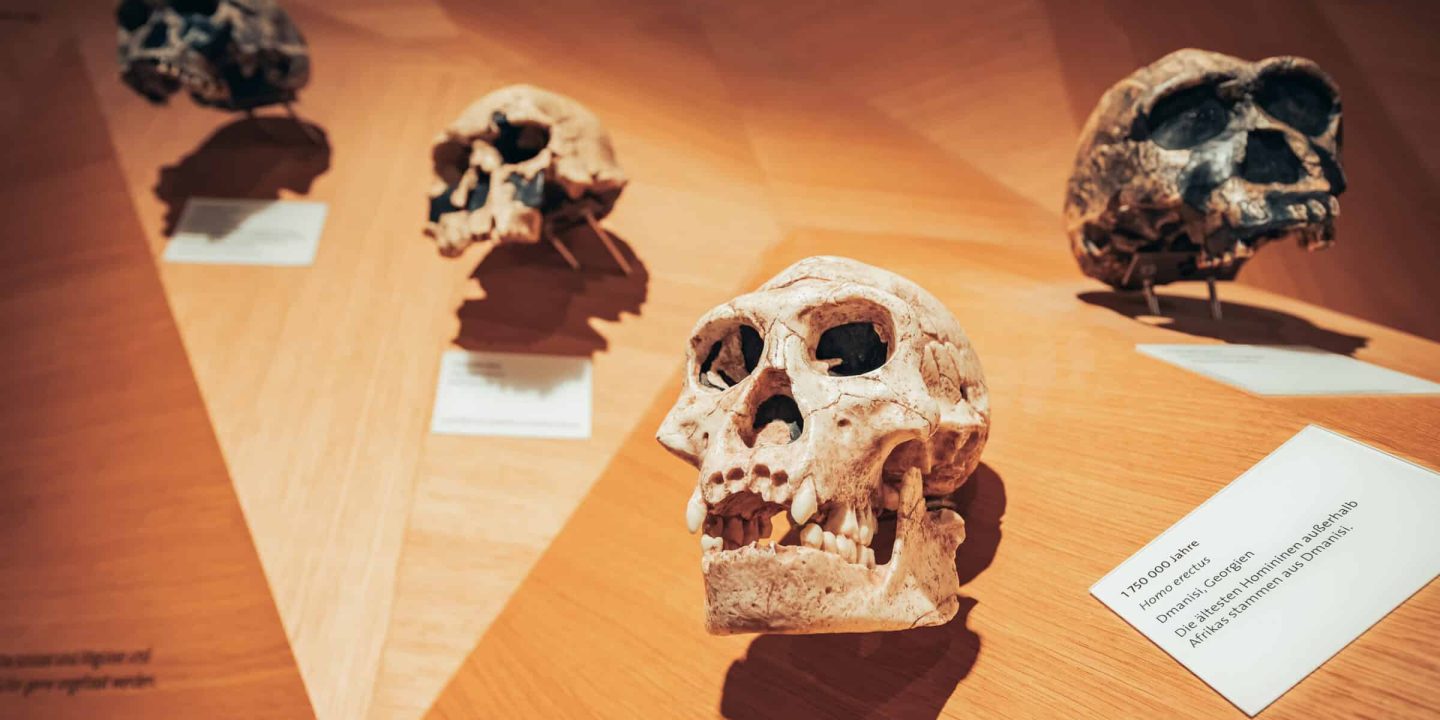 Lessons for Teaching Evolution | Forum