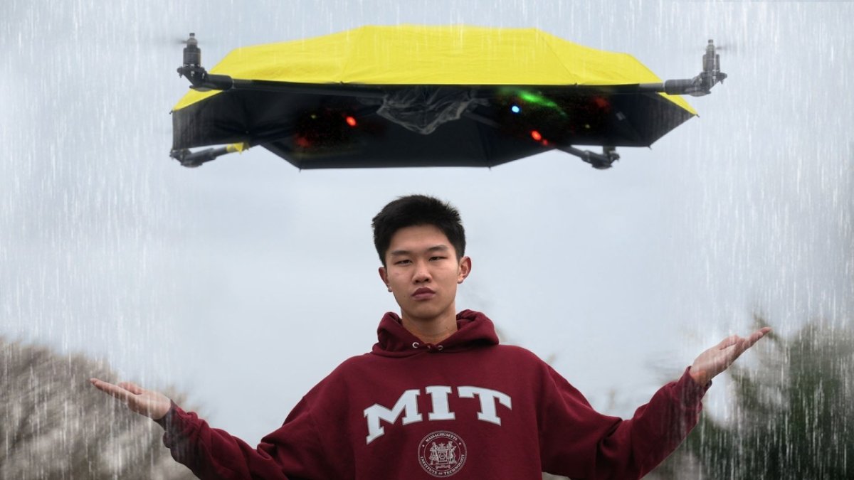 We may not have flying cars, but we have flying umbrellas